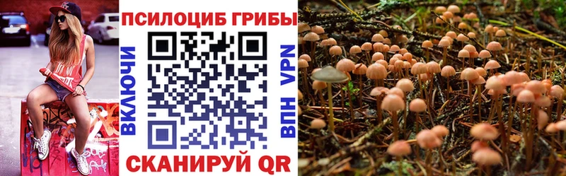 купить наркотики сайты  Абаза  hydra зеркало  Галлюциногенные грибы прущие грибы 